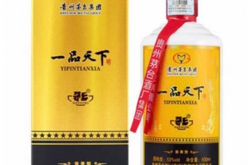 53°贵州茅台集团 茅乡 一品天下 酱香型白酒500ml装