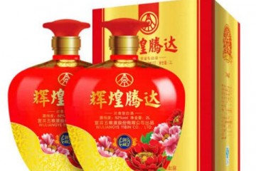 52°五粮液股份辉煌腾达御藏坛子礼品酒礼盒装大坛酒喜酒大坛白酒2000ml（2瓶装）